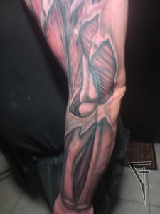 Roztržená ruka, detail.