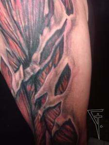 Roztržená ruka, detail.